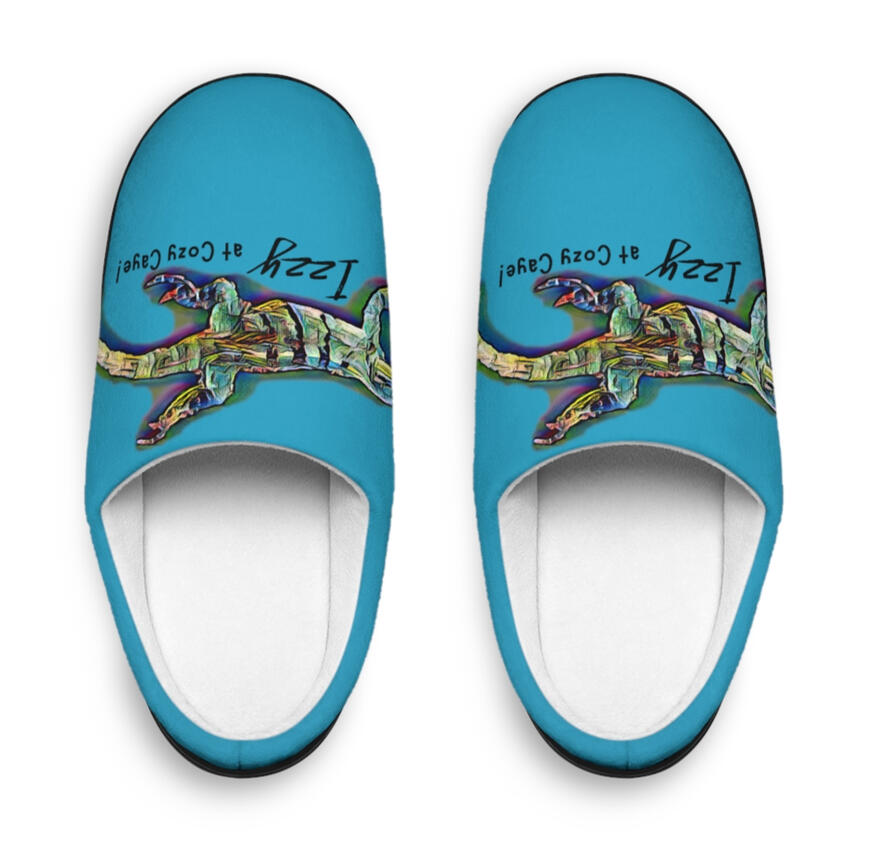 Women's Izzy Slippers