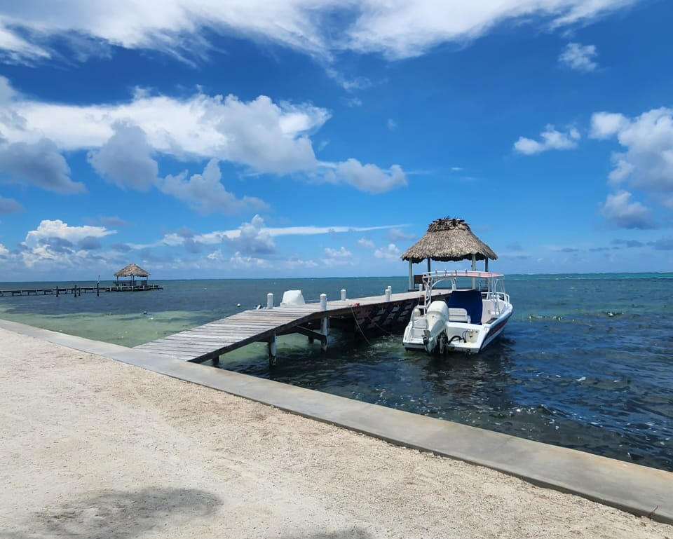 Half Day Snorkel Tour