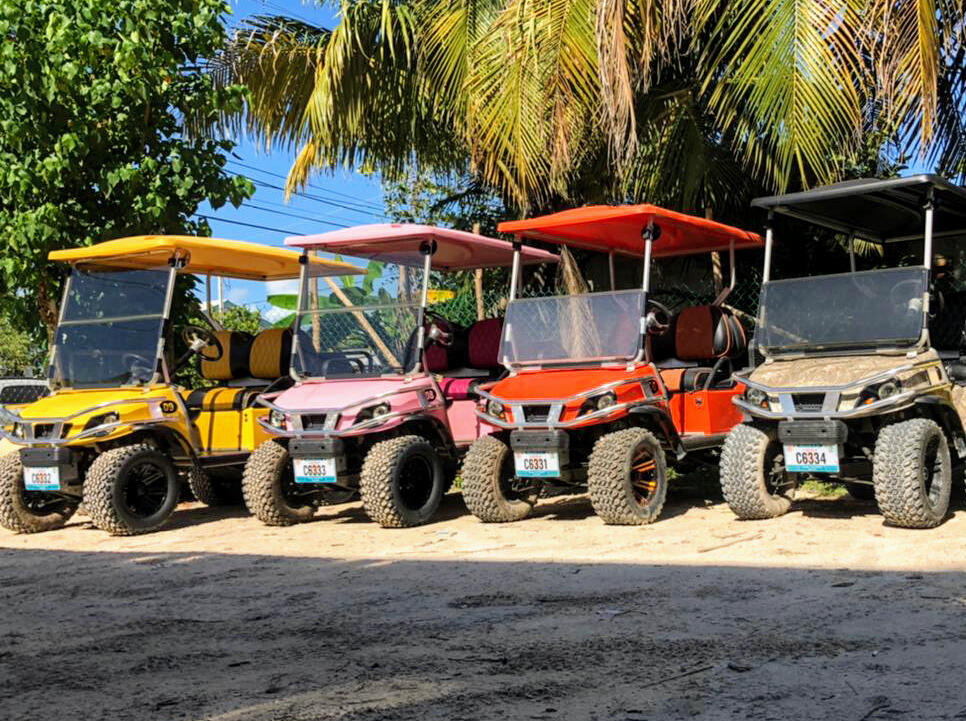 1-Week Golf Cart Rental