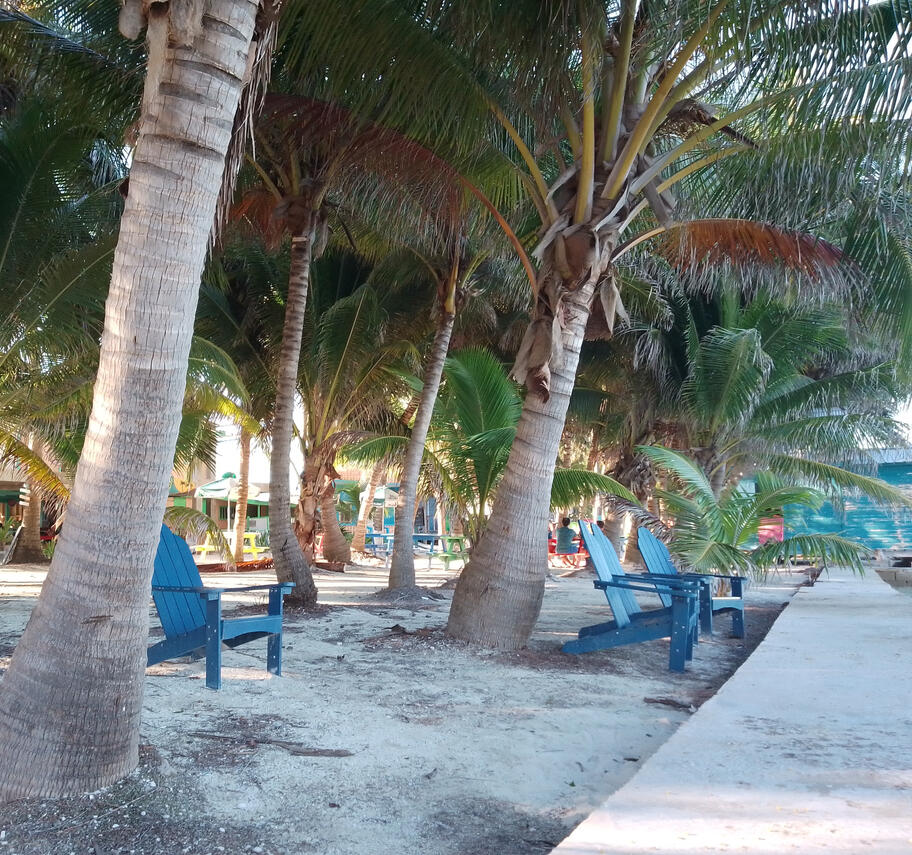 Caye Caulker Snorkel Tour