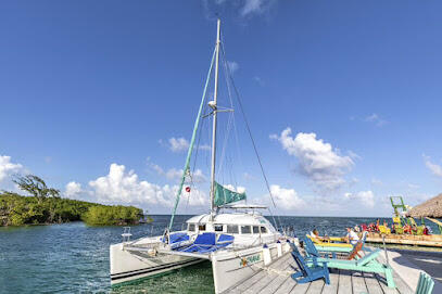 Full-Day Marine-Life Tour